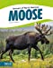 Seller image for Moose (Animals of North America) (Focus Readers: Animals of North America: Beacon Level) [Soft Cover ] for sale by booksXpress