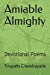 Seller image for Amiable Almighty: Devotional Poems [Soft Cover ] for sale by booksXpress