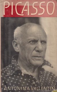 Bild des Verkufers fr Pablo Picasso. zum Verkauf von Bcher Eule