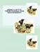 Seller image for Jersey Cattle: Their Feeding and Management [Soft Cover ] for sale by booksXpress
