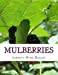 Bild des Verkufers fr Mulberries [Soft Cover ] zum Verkauf von booksXpress