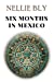 Image du vendeur pour Six Months in Mexico [Soft Cover ] mis en vente par booksXpress