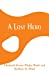 Seller image for A Lost Hero [Soft Cover ] for sale by booksXpress