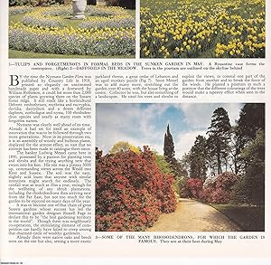 Imagen del vendedor de The Gardens of Nymans, near Handcross, West Sussex. Several pictures and accompanying text, removed from an original issue of Country Life Magazine, 1984. a la venta por Cosmo Books