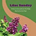 Bild des Verkufers fr Lilac Sunday [Soft Cover ] zum Verkauf von booksXpress