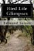 Bild des Verkufers fr Bird Life Glimpses [Soft Cover ] zum Verkauf von booksXpress