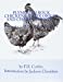 Image du vendeur pour Plymouth Rock Chickens: Their Origin and Characteristics: Chicken Breeds Book 42 (Volume 42) [Soft Cover ] mis en vente par booksXpress