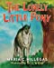 Seller image for The Lonely Little Pony [Soft Cover ] for sale by booksXpress