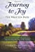 Seller image for Journey to Joy: The Written Path: The Intuitive Insight Process, Illuminating the Way with Words [Soft Cover ] for sale by booksXpress
