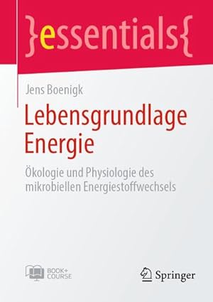 Seller image for Lebensgrundlage Energie for sale by Wegmann1855