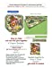 Bild des Verkufers fr Flower Baskets Out of Paper for All Occasions Book 40: Christmas Coffee & Tea PaperCraft Gift Box Basket (Volume 46) [Soft Cover ] zum Verkauf von booksXpress