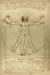 Seller image for Leonardo da Vinci Notebooks - The Vitruvian Man: 120 College ruled lined pages - Leonardo da Vincis Notebook, Journal, Sketchbook, Diary, Manuscript (The Vitruvian Man) [Soft Cover ] for sale by booksXpress