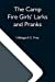 Seller image for The Camp Fire Girls' Larks And Pranks; Or, The House Of The Open Door [Soft Cover ] for sale by booksXpress