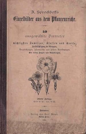 Einzelbilder aus dem Pflanzenreiche. 40 ausgewählte Vertreter der wichtigsten Familien, Klassen u...