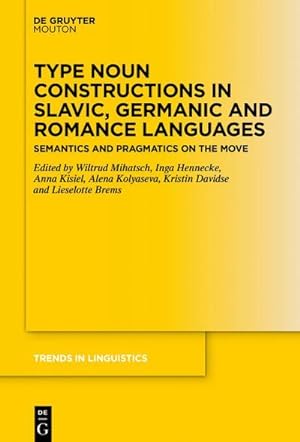 Imagen del vendedor de Type Noun Constructions in Slavic, Germanic and Romance Languages a la venta por BuchWeltWeit Ludwig Meier e.K.