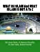 Seller image for WHAT IS ISLAM And WHAT ISLAM IS NOT A To Z [Soft Cover ] for sale by booksXpress