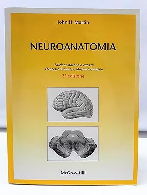 Neuroanatomia