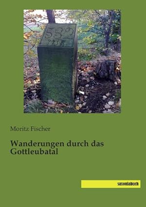 Image du vendeur pour Wanderungen durch das Gottleubatal mis en vente par BuchWeltWeit Ludwig Meier e.K.