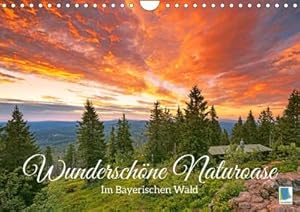 Seller image for Wunderschne Naturoase: Im Bayerischen Wald (Wandkalender 2023 DIN A4 quer) for sale by BuchWeltWeit Ludwig Meier e.K.