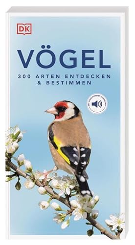 Seller image for Vgel for sale by BuchWeltWeit Ludwig Meier e.K.