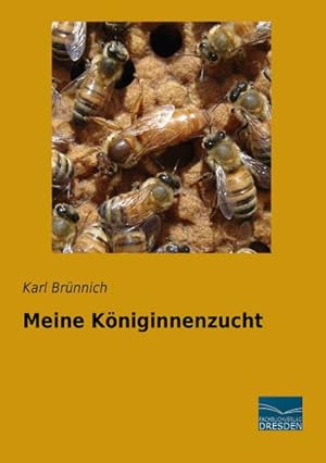 Imagen del vendedor de Meine Kniginnenzucht a la venta por BuchWeltWeit Ludwig Meier e.K.