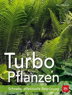 Bild des Verkufers fr Turbo-Pflanzen zum Verkauf von BuchWeltWeit Ludwig Meier e.K.