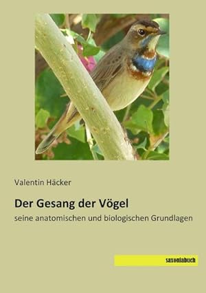 Imagen del vendedor de Der Gesang der Vgel a la venta por BuchWeltWeit Ludwig Meier e.K.