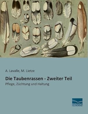 Seller image for Die Taubenrassen - Zweiter Teil for sale by BuchWeltWeit Ludwig Meier e.K.