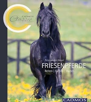 Seller image for Friesenpferde for sale by BuchWeltWeit Ludwig Meier e.K.