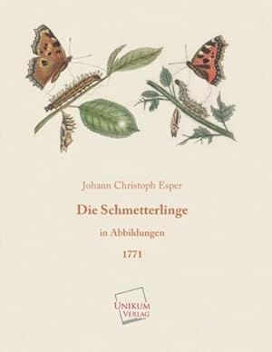 Seller image for Die Schmetterlinge in Abbildungen for sale by BuchWeltWeit Ludwig Meier e.K.