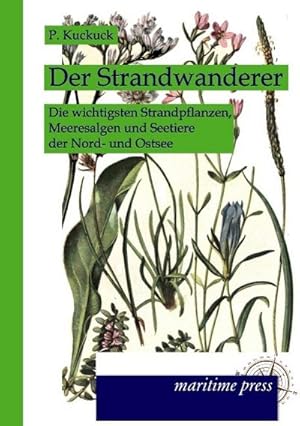 Image du vendeur pour Der Strandwanderer mis en vente par BuchWeltWeit Ludwig Meier e.K.