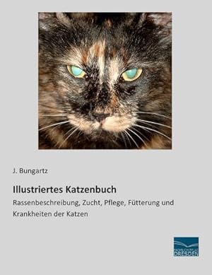 Seller image for Illustriertes Katzenbuch for sale by BuchWeltWeit Ludwig Meier e.K.