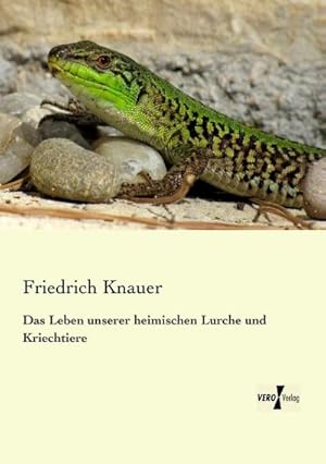 Immagine del venditore per Das Leben unserer heimischen Lurche und Kriechtiere venduto da BuchWeltWeit Ludwig Meier e.K.