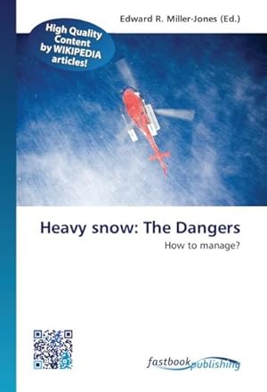 Immagine del venditore per Heavy snow: The Dangers venduto da BuchWeltWeit Ludwig Meier e.K.