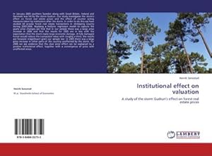 Seller image for Institutional effect on valuation for sale by BuchWeltWeit Ludwig Meier e.K.