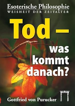 Seller image for Tod - was kommt danach? for sale by BuchWeltWeit Ludwig Meier e.K.