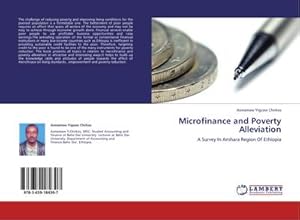 Imagen del vendedor de Microfinance and Poverty Alleviation a la venta por BuchWeltWeit Ludwig Meier e.K.