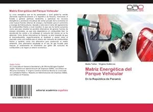 Seller image for Matriz Energtica del Parque Vehicular for sale by BuchWeltWeit Ludwig Meier e.K.