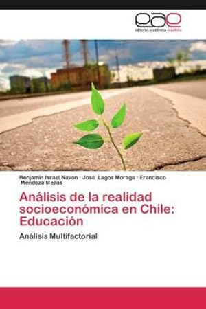 Imagen del vendedor de Anlisis de la realidad socioeconmica en Chile: Educacin a la venta por BuchWeltWeit Ludwig Meier e.K.