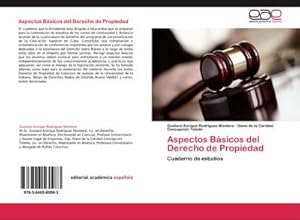 Seller image for Aspectos Bsicos del Derecho de Propiedad for sale by BuchWeltWeit Ludwig Meier e.K.