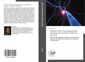 Image du vendeur pour Spcification topographique prcoce du systme thalamo-cortical mis en vente par BuchWeltWeit Ludwig Meier e.K.