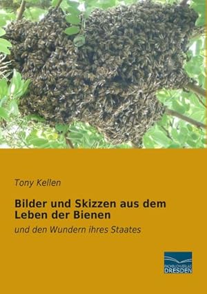 Imagen del vendedor de Bilder und Skizzen aus dem Leben der Bienen a la venta por BuchWeltWeit Ludwig Meier e.K.