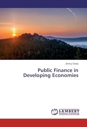 Imagen del vendedor de Public Finance in Developing Economies a la venta por BuchWeltWeit Ludwig Meier e.K.