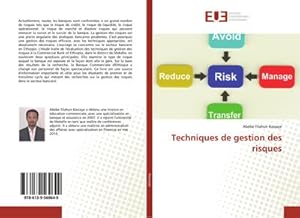 Image du vendeur pour Techniques de gestion des risques mis en vente par BuchWeltWeit Ludwig Meier e.K.