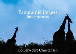 Image du vendeur pour Panoramic images mis en vente par BuchWeltWeit Ludwig Meier e.K.