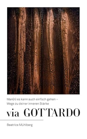 Seller image for Via Gottardo for sale by BuchWeltWeit Ludwig Meier e.K.