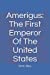 Seller image for Amerigus: The First Emperor Of The United States (Empire of America) [Soft Cover ] for sale by booksXpress