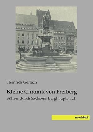 Imagen del vendedor de Kleine Chronik von Freiberg a la venta por BuchWeltWeit Ludwig Meier e.K.