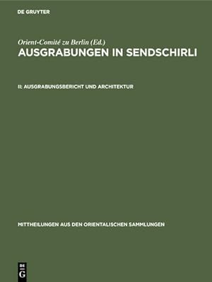 Imagen del vendedor de Ausgrabungsbericht und Architektur a la venta por BuchWeltWeit Ludwig Meier e.K.