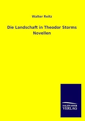 Seller image for Die Landschaft in Theodor Storms Novellen for sale by BuchWeltWeit Ludwig Meier e.K.